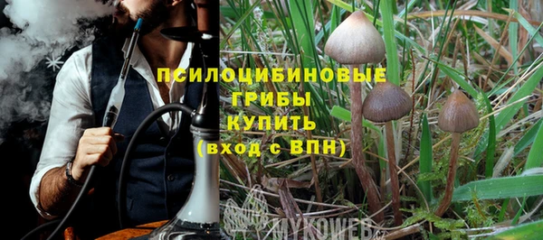 шишки Вязники