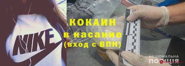 шишки Вязники