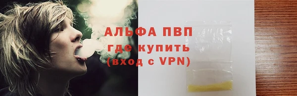спайс Вяземский