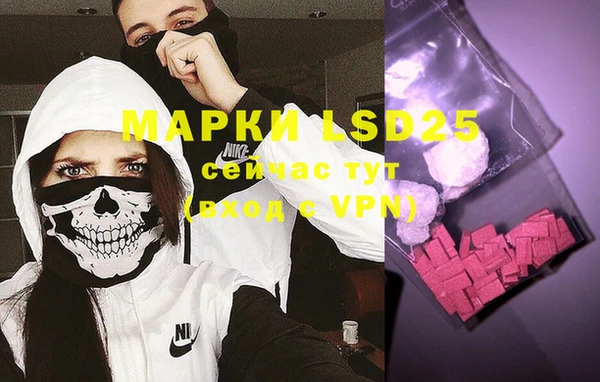 спайс Вяземский
