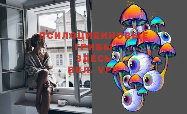спайс Вяземский
