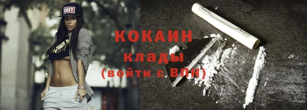 шишки Вязники